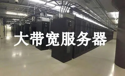 RAKsmart | 美国大带宽服务器管理的优势的图片 VPS服务器的图片