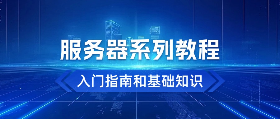 打造高性能服务器选型指南：以Raksmart服务器为例