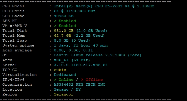RAKsmart新加坡大带宽服务器大陆优化线路测试:E5 – 2683v4*2的图片 的图片
