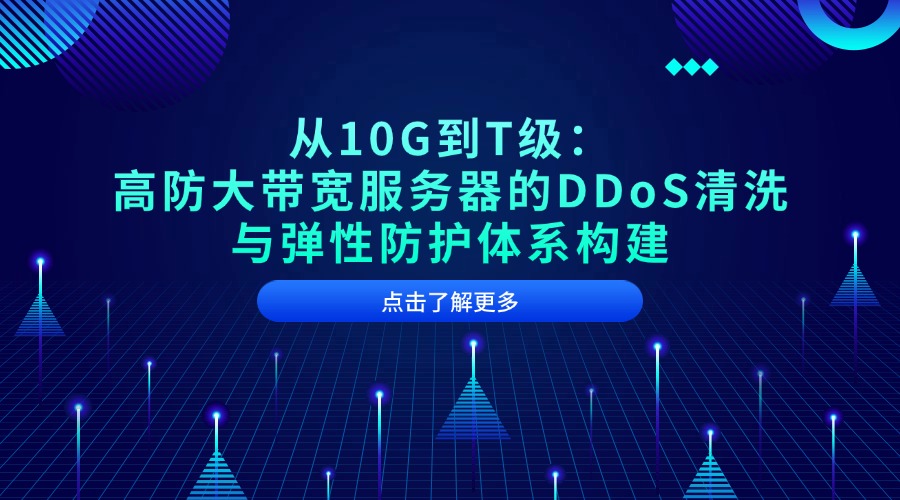 从10G到T级：高防大带宽服务器的DDoS清洗与弹性防护体系构建