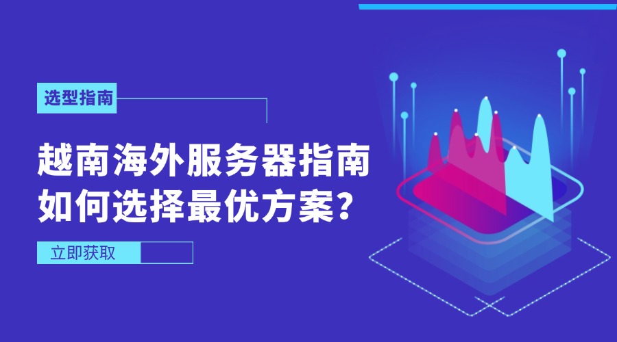 越南海外服务器指南：如何选择最优方案？