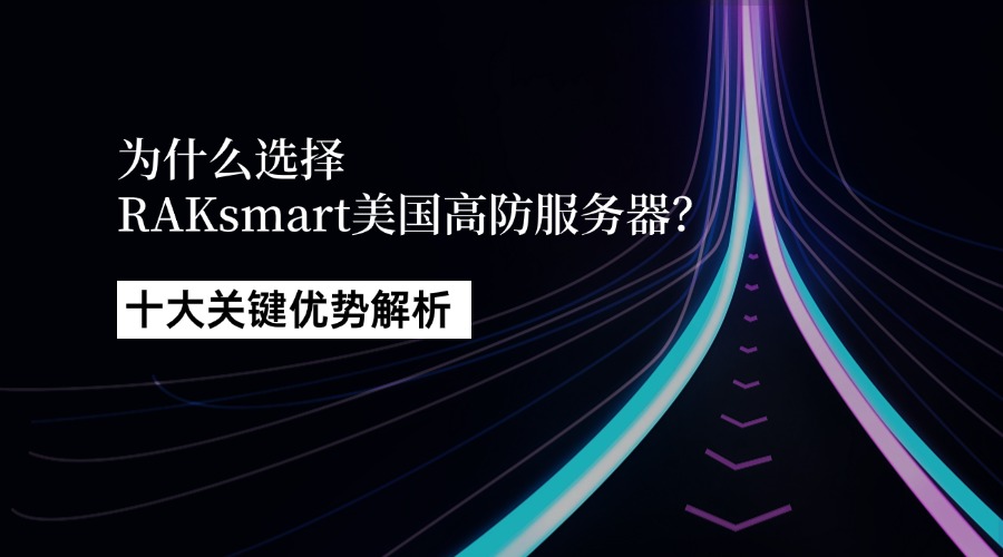 为什么选择RAKsmart美国高防服务器？十大关键优势解析