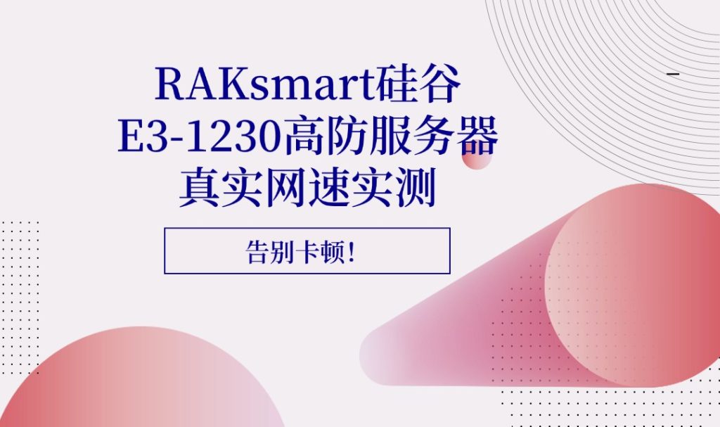 RAKsmart硅谷高防服务器E3 - 1230