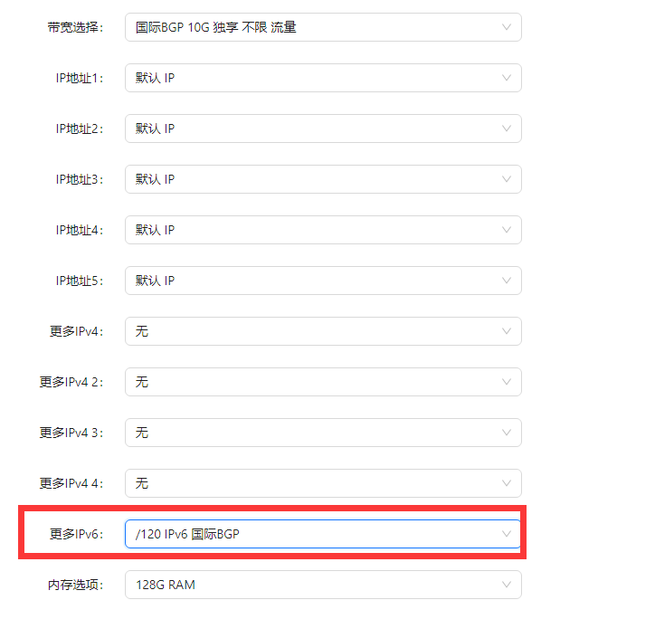 RAKsmart法兰克福独服10G大带宽产品增加IPv6选项