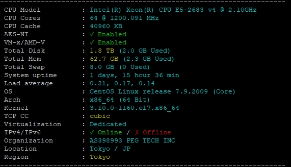 RAKsmart东京站群服务器性能实测
