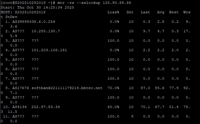 RAKsmart东京站群服务器性能实测