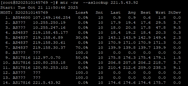 RAKsmart美国西雅图站群多IP服务器:253个独立IP下的性能表现全解析