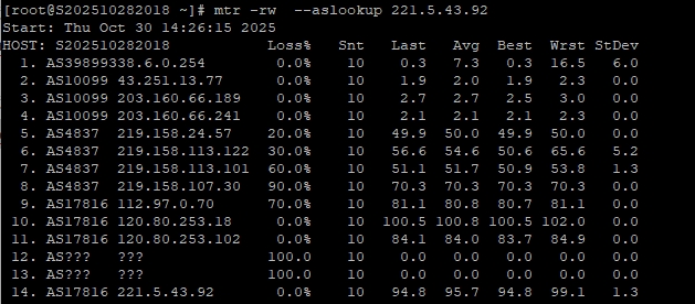 RAKsmart东京站群服务器性能实测
