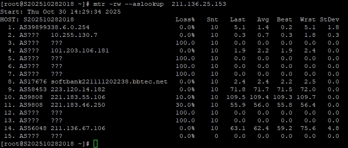 RAKsmart东京站群服务器性能实测
