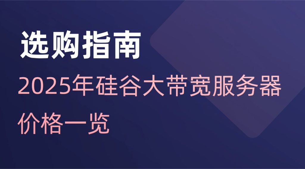2025年硅谷大带宽服务器价格一览：高性价比方案如何选？