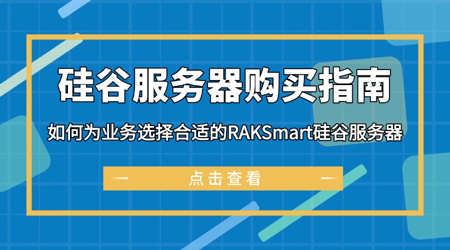 硅谷服务器购买指南：如何为业务选择合适的RAKSmart硅谷服务器