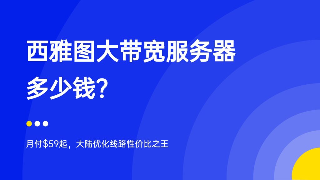 西雅图大带宽服务器多少钱