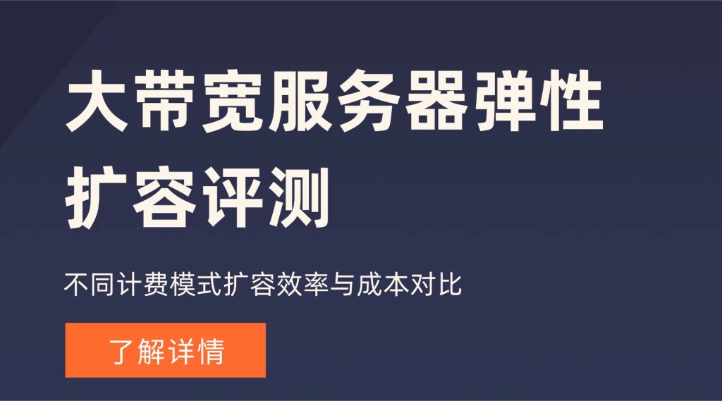 大带宽服务器